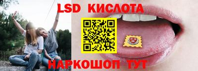 прущие грибы Обнинск