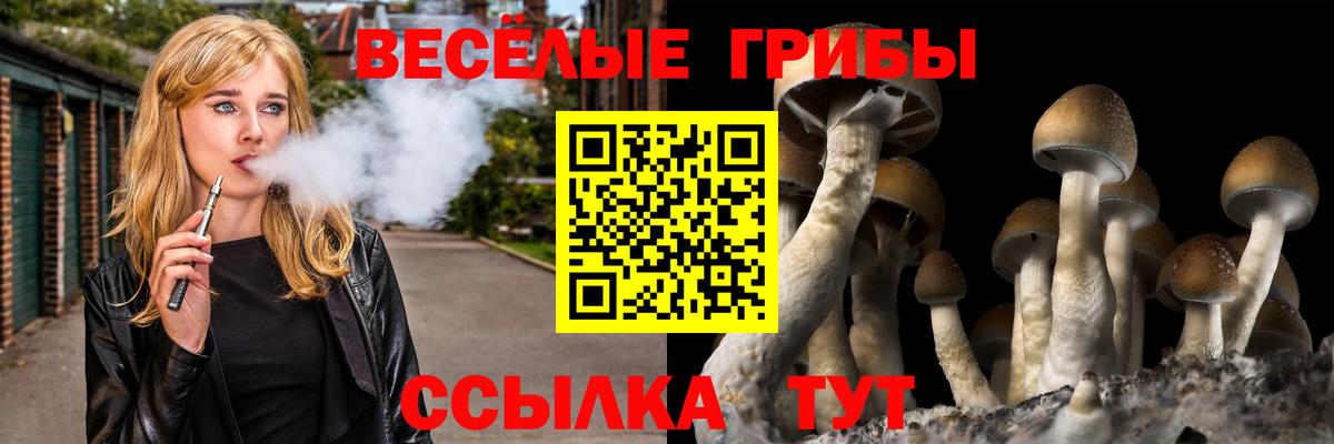 Псилоцибиновые грибы ЛСД  закладка  Сосновый Бор  Вход с VPN  Галлюциногенные грибы Cubensis 