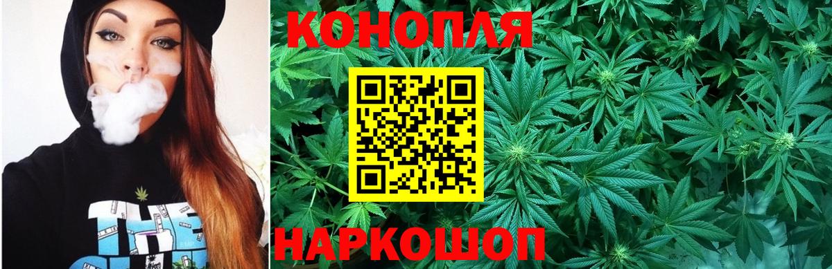 Конопля сатива  Бошки марихуана THC 21%  Сосновый Бор  Вход с VPN  Канабис Amnesia 